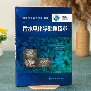污水电化学处理技术胡筱敏李亮污水处理技术书籍水污染治理