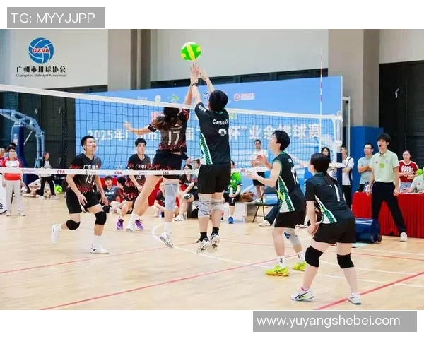 广州排球队的崛起与发展探秘:力量与激情的完美结合