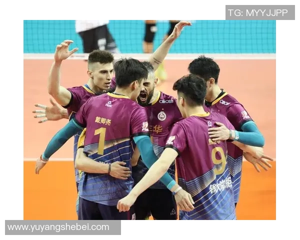 赛后分析：上海排球队与杭州排球队的团队协作与战术对比