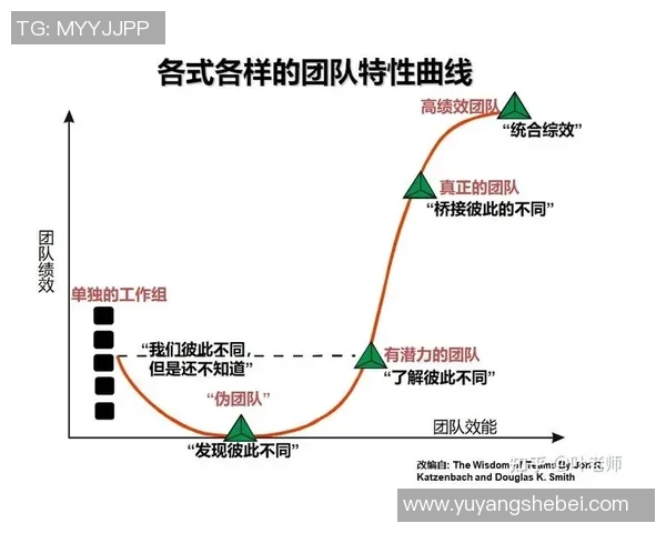 成都排球队在冠军赛中的强势表现与团队协作分析 成都排球队在冠军赛中的强势表现与团队协作分析