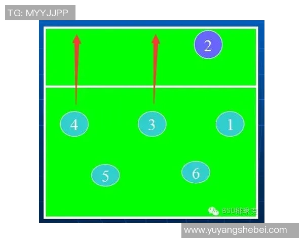 赛后分析:西安排球队与上海排球队速度对比及战术探讨 赛后分析:西安排球队与上海排球队速度对比及战术探讨