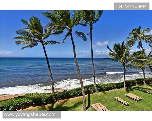 足球明星女友在海滩度假晒美照展现迷人身姿引发热议