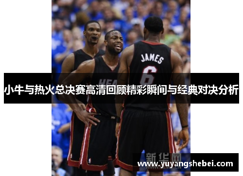 小牛与热火总决赛高清回顾精彩瞬间与经典对决分析